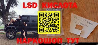 прущие грибы Краснознаменск