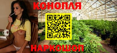 прущие грибы Краснознаменск