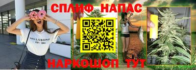 прущие грибы Краснознаменск