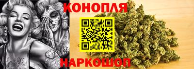 прущие грибы Краснознаменск