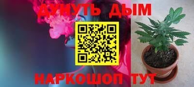 прущие грибы Краснознаменск