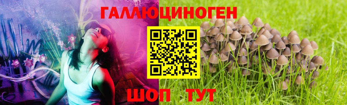 Энгельс  Псилоцибиновые грибы ЛСД  купить наркоту  Вход с VPN 